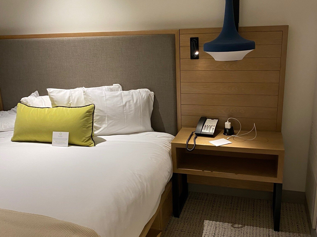 Limelight Ketchum主图