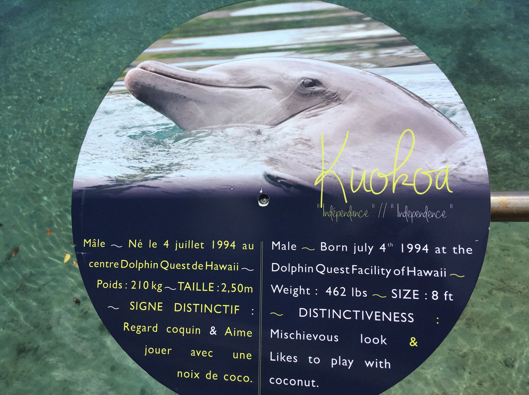 Moorea Dolphin Center-莫雷阿岛必去景点