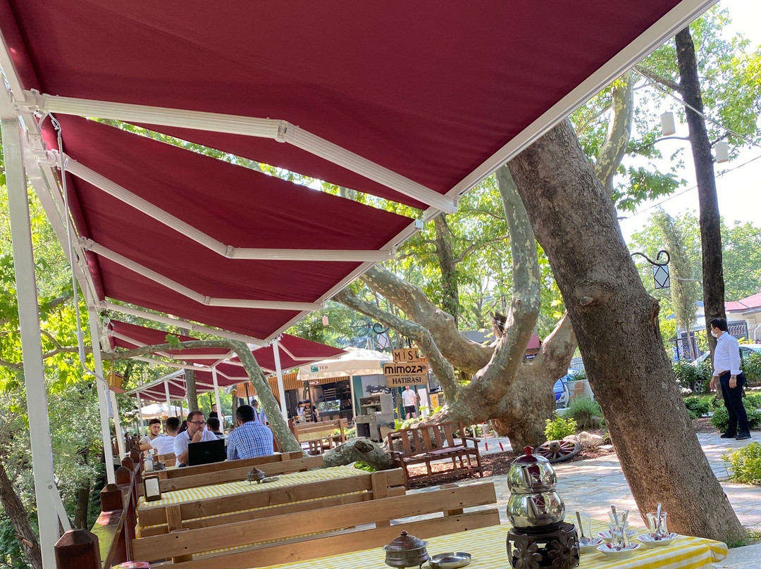 Gumustepe旅游攻略图片