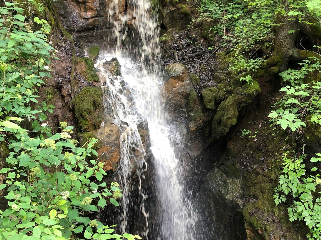 Foxfire Mountain Swinging Bridge-塞维尔维尔必去景点