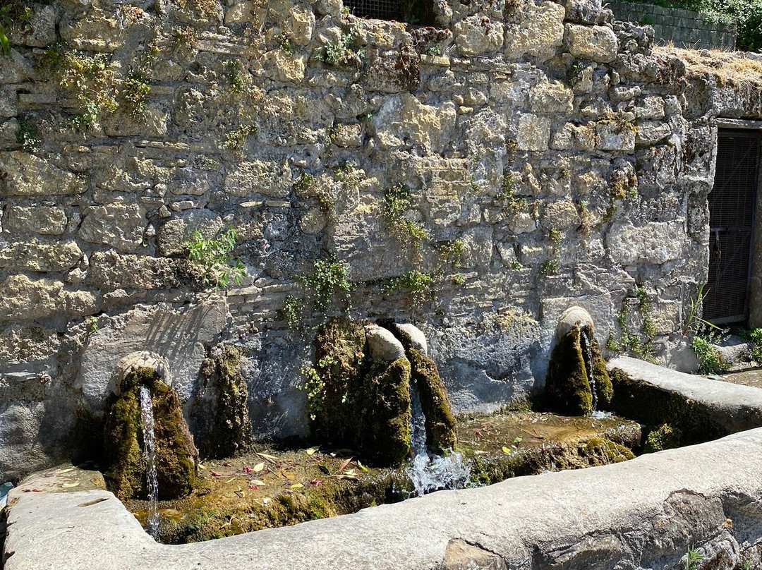 Fontana Nova-塔尔奎尼亚必去景点