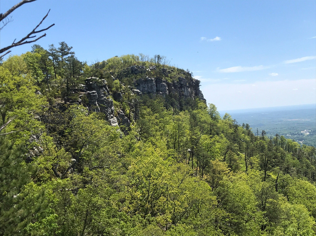 Piedmont Hiking and Outing Club-戈尔兹伯勒必去景点