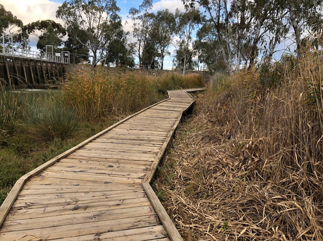 Weir Park-霍舌姆必去景点
