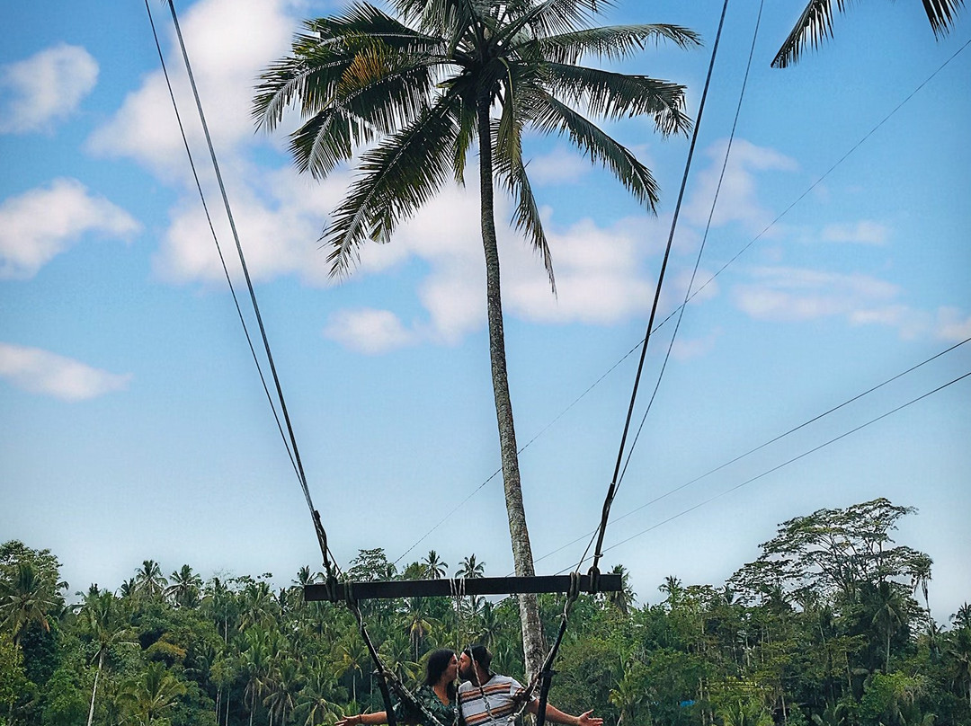 Ubud Fun Tour-乌布必去景点