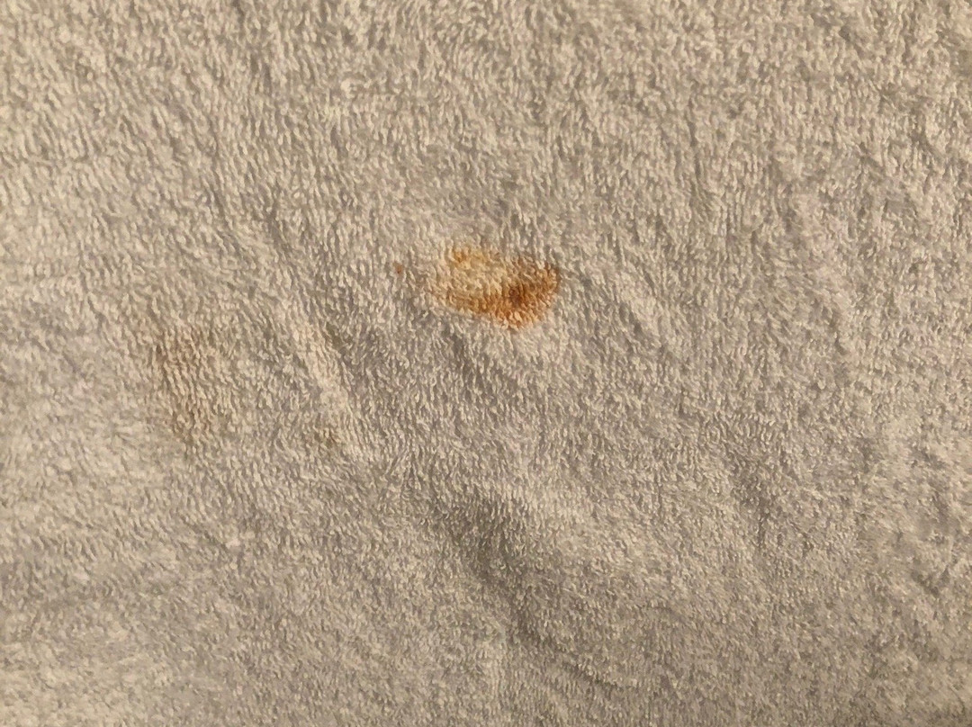 Anchor Inn and Suites主图