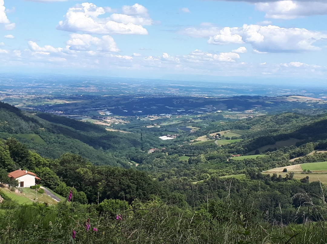 Le Plateau d' Yzeron景点图片