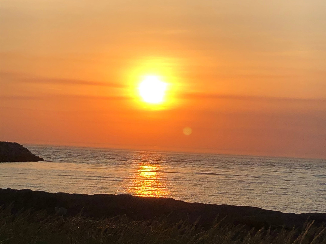 Motel Bienvenue主图