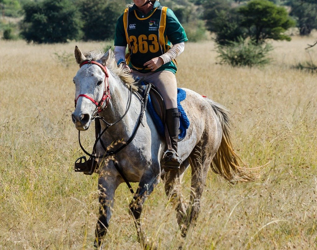West Coast Horse Trails-Yzerfontein必去景点