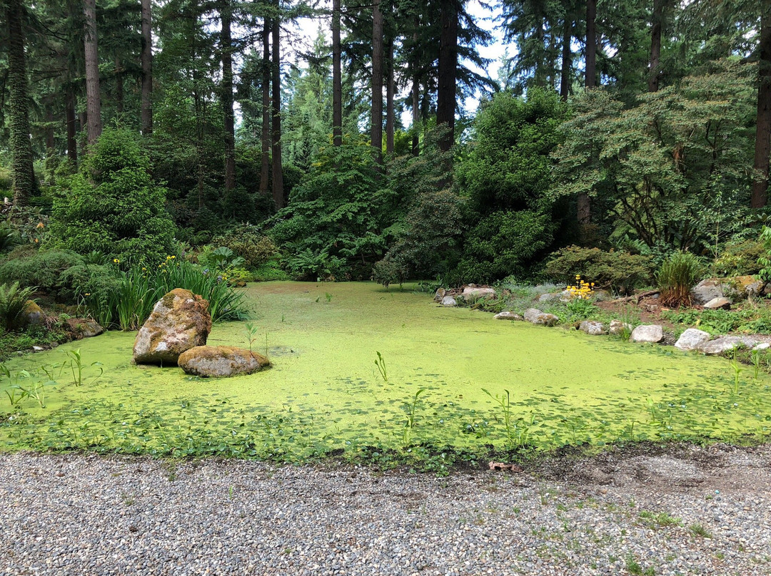 Rhododendron Species Botanical Garden-费德勒尔韦必去景点