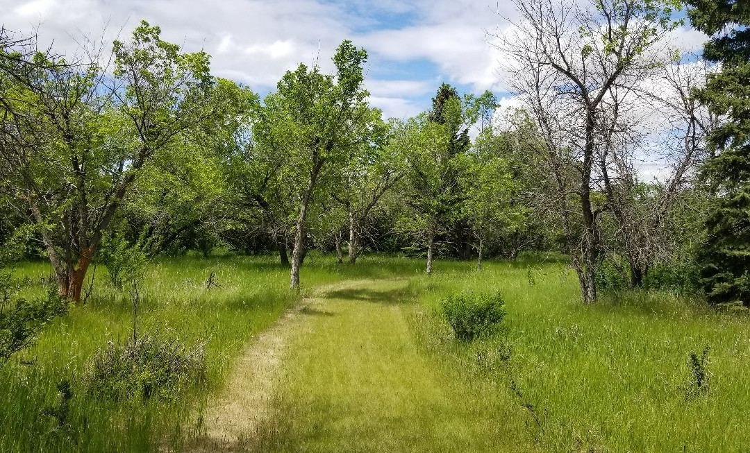 Danielson Provincial Park-Elbow必去景点