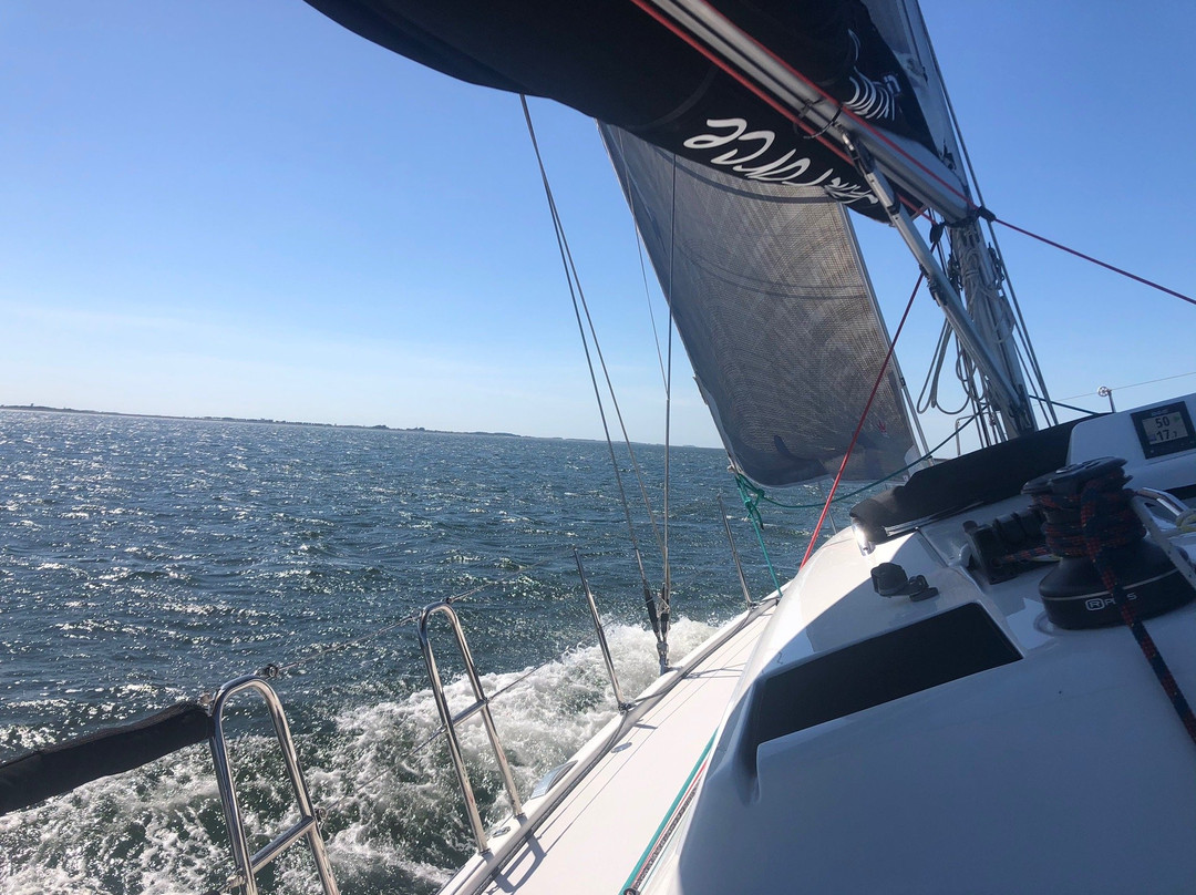 Marco van Dijke - schipper SailForce景点图片
