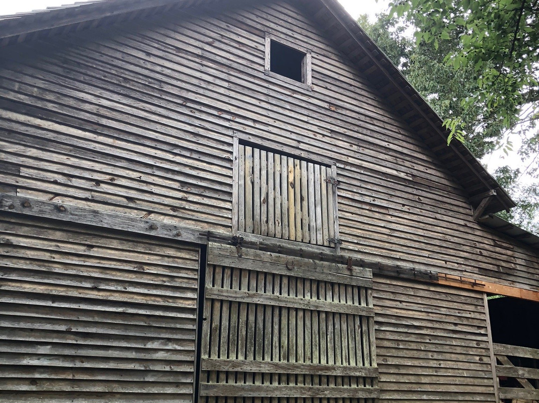 McDaniel Farm Park-杜鲁斯必去景点