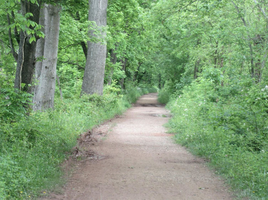 Riley's Lock-Poolesville必去景点