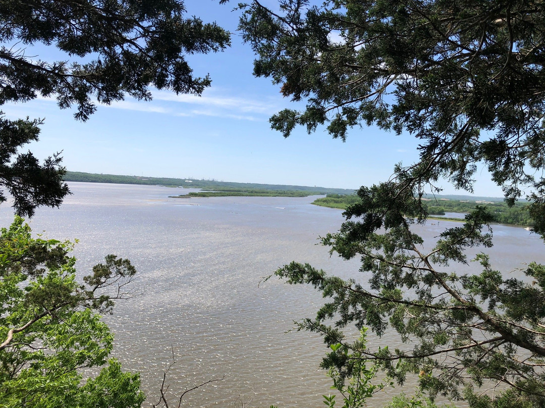 Spring Lake Park Reserve景点图片