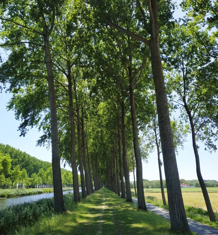 Maerlant Bicycle Trail景点图片