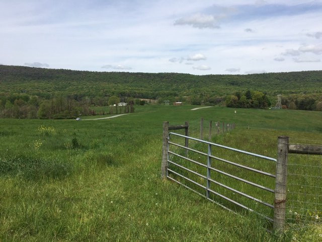 Boyd Big Tree Preserve Conservation Area-哈里斯堡必去景点