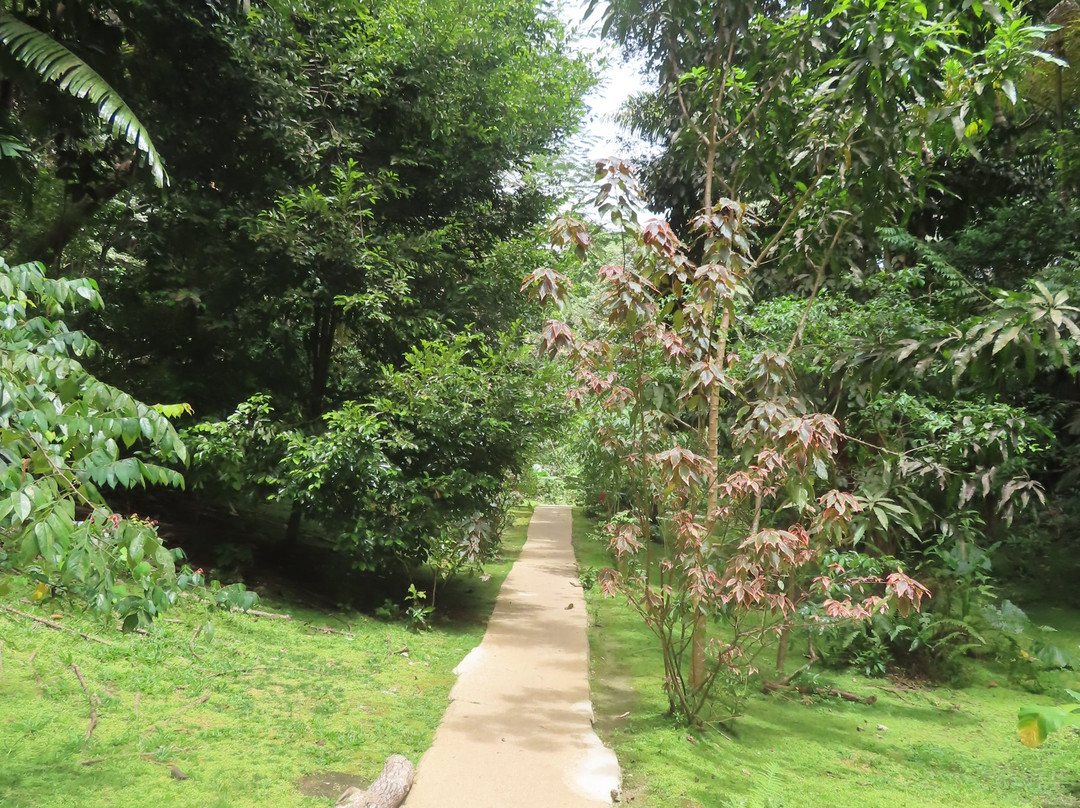 Welchman Hall Gully-Saint Thomas Parish必去景点