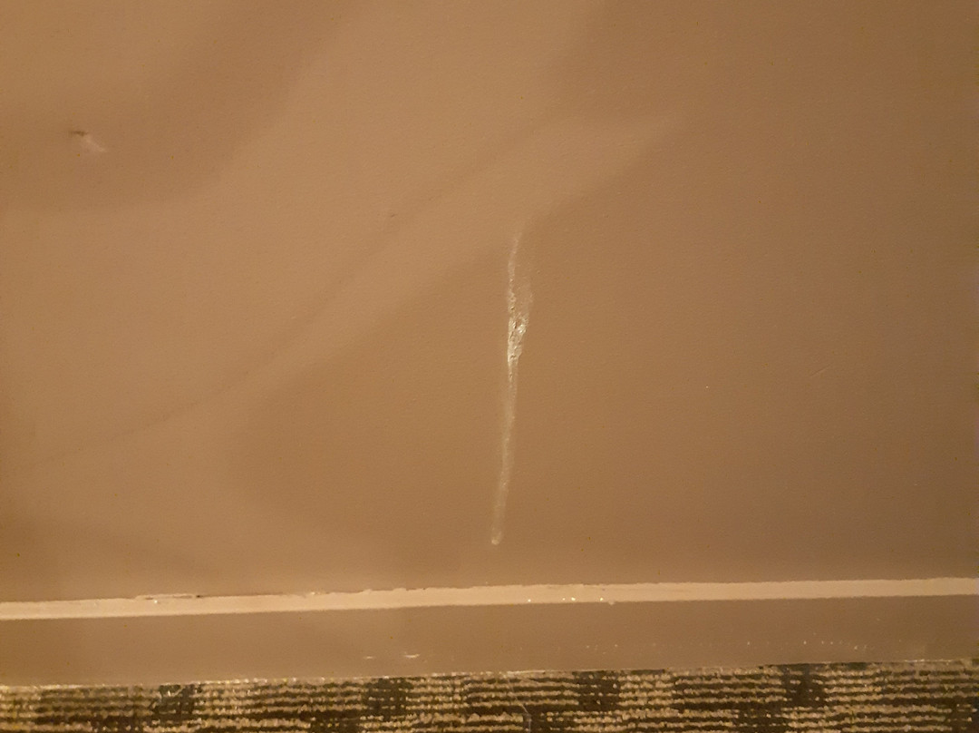 Quality Inn and Suites主图