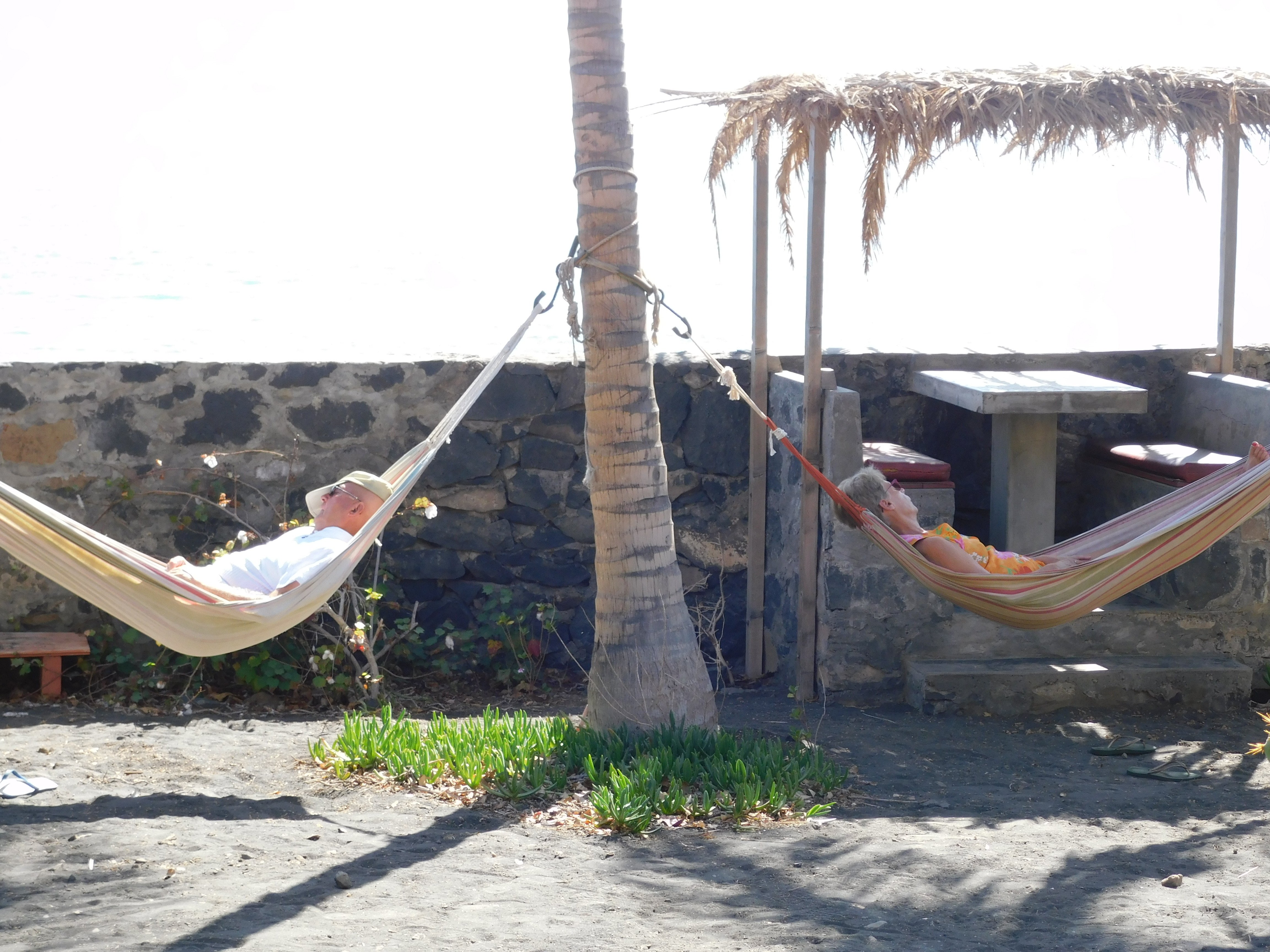 Tortuga Bed & Breakfast-官方