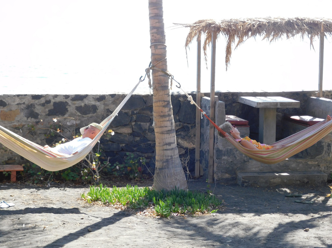 Tortuga Bed & Breakfast主图