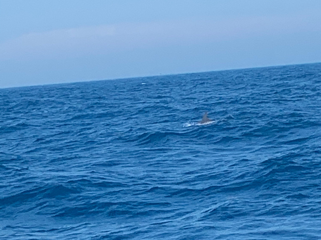 Tackle Buster Charters-Cudjoe Key必去景点