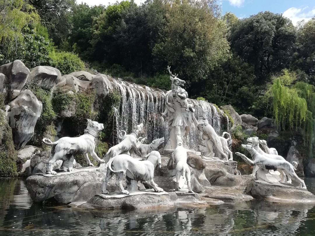 Parco Reale景点图片