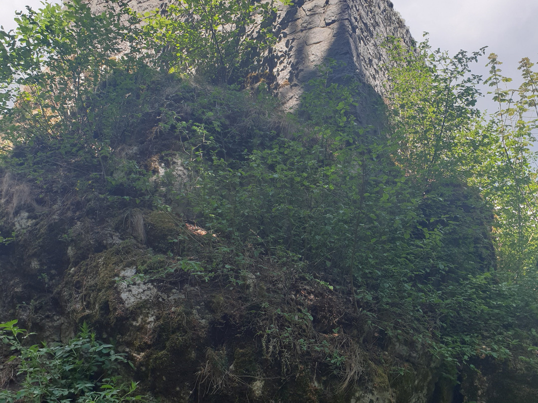 Ruine Frohburg-Trimbach必去景点