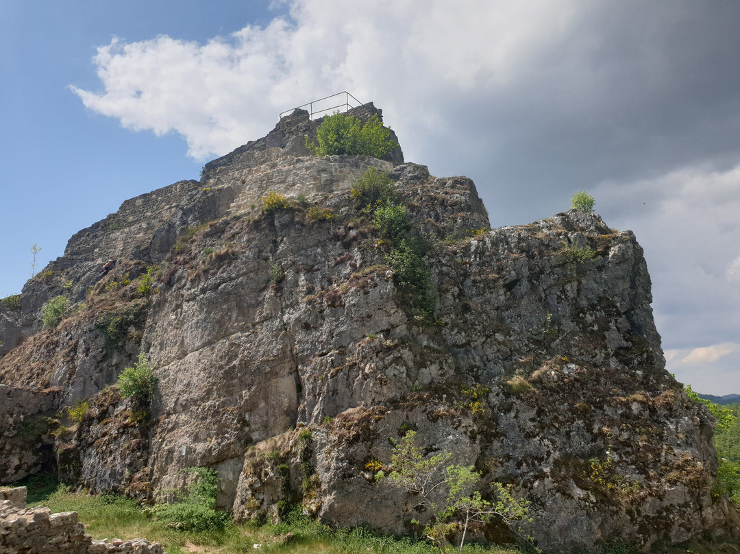 Ruine Frohburg景点图片