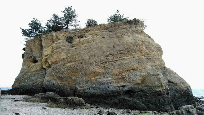 Motoyamamisaki Park-山阳小野田市必去景点