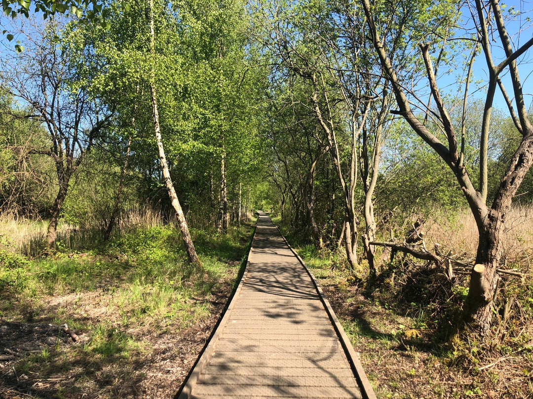 Lattersey Local Nature Reserve景点图片