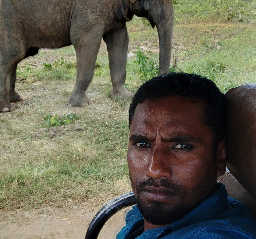 Abbas Tours Sri Lanka-哈普特莱必去景点