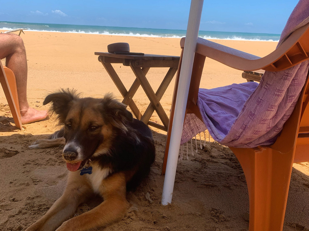 Oasis Bluff Beach主图