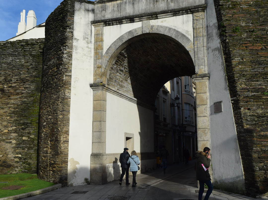 Porta de Campo Castelo景点图片