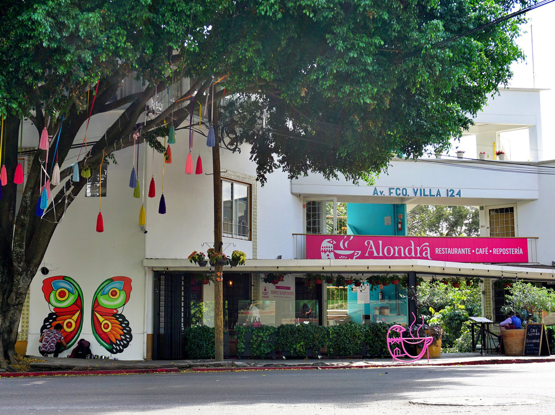 Café Alondra Sucursal Norte