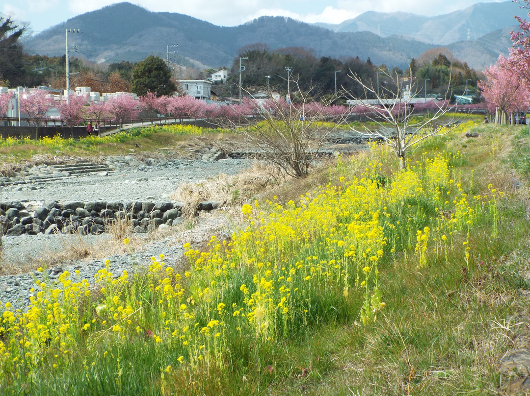 Mizunashi River-秦野市必去景点