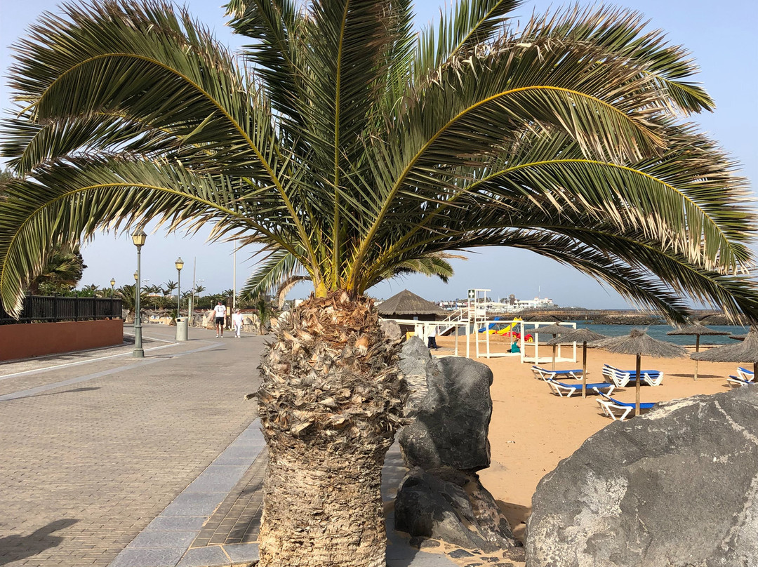 La Guirra Beach景点图片