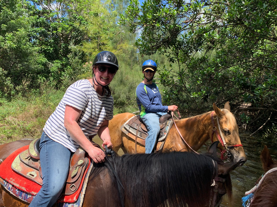 American Horse Trails-戴维必去景点