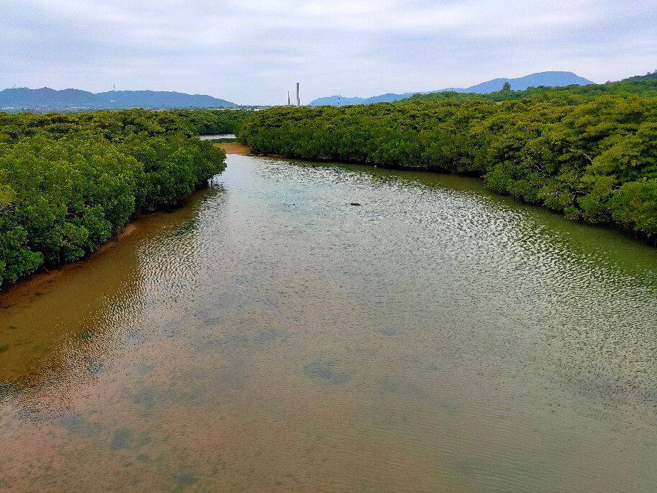 Miyara River Hirugi Grove景点图片
