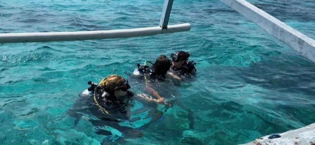 Dolphin Dive School-Senggigi必去景点