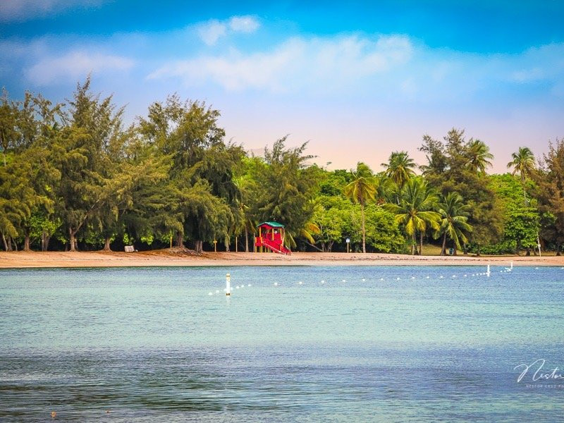 Reserva Natural Cabezas de San Juan景点图片