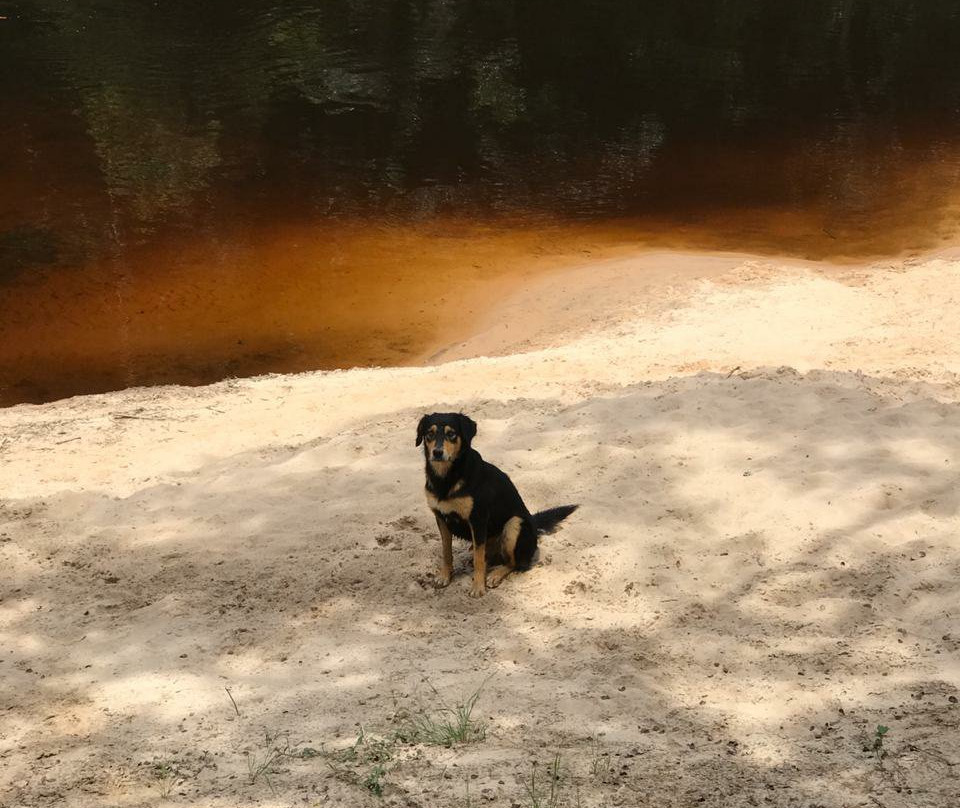 Restaurante Ouro Fino