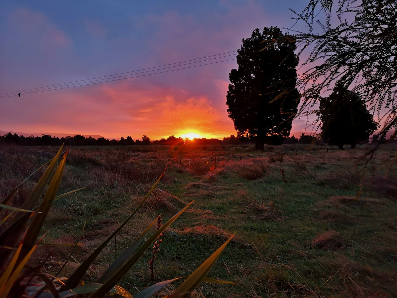 福克斯冰川山景住宿加早餐旅馆-官方