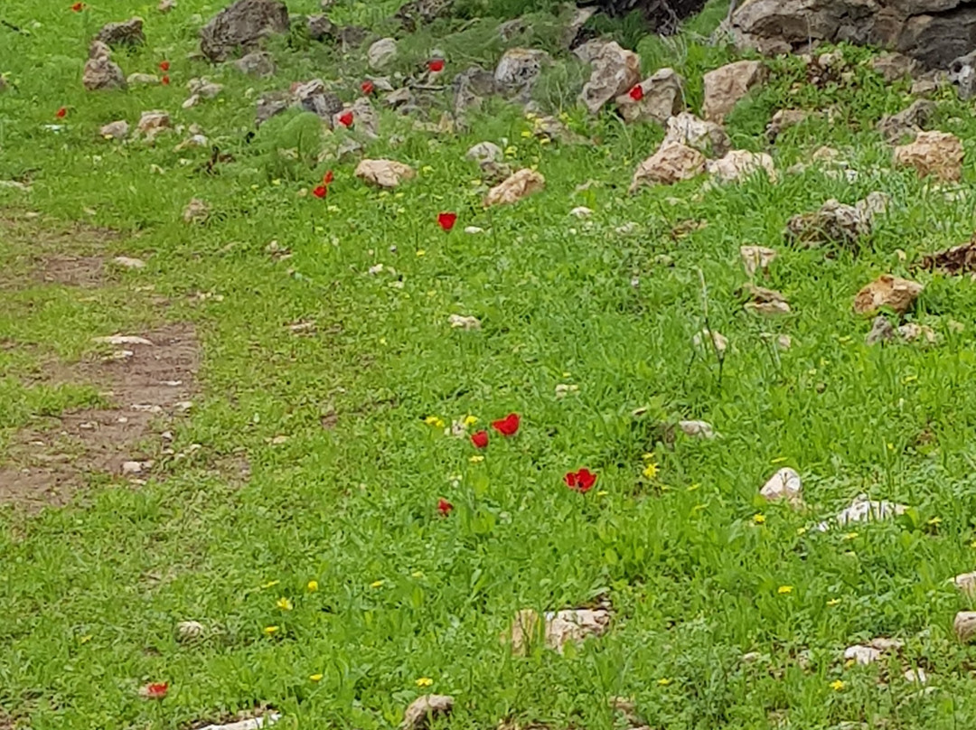 Mount Gilbo'a-Afula必去景点