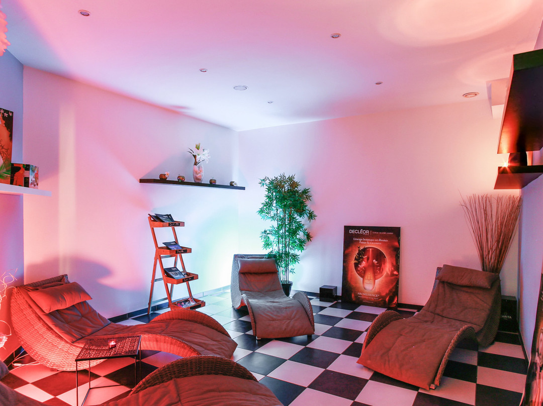 Espace Spa Bien Etre Cornebarrieu景点图片