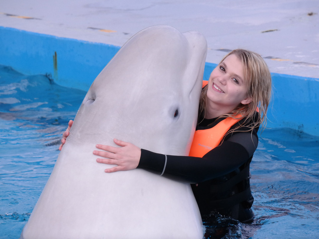 Geoje Sea World-巨济市必去景点