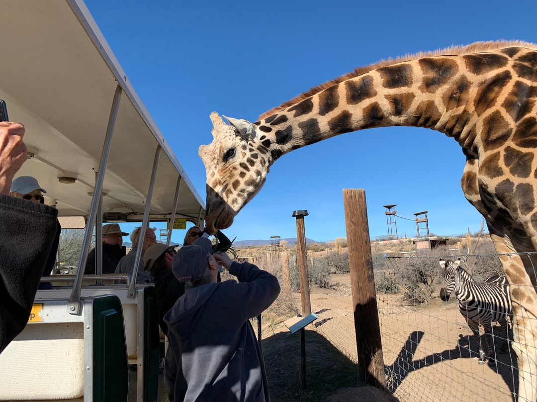 Out Of Africa Wildlife Park-Camp Verde必去景点