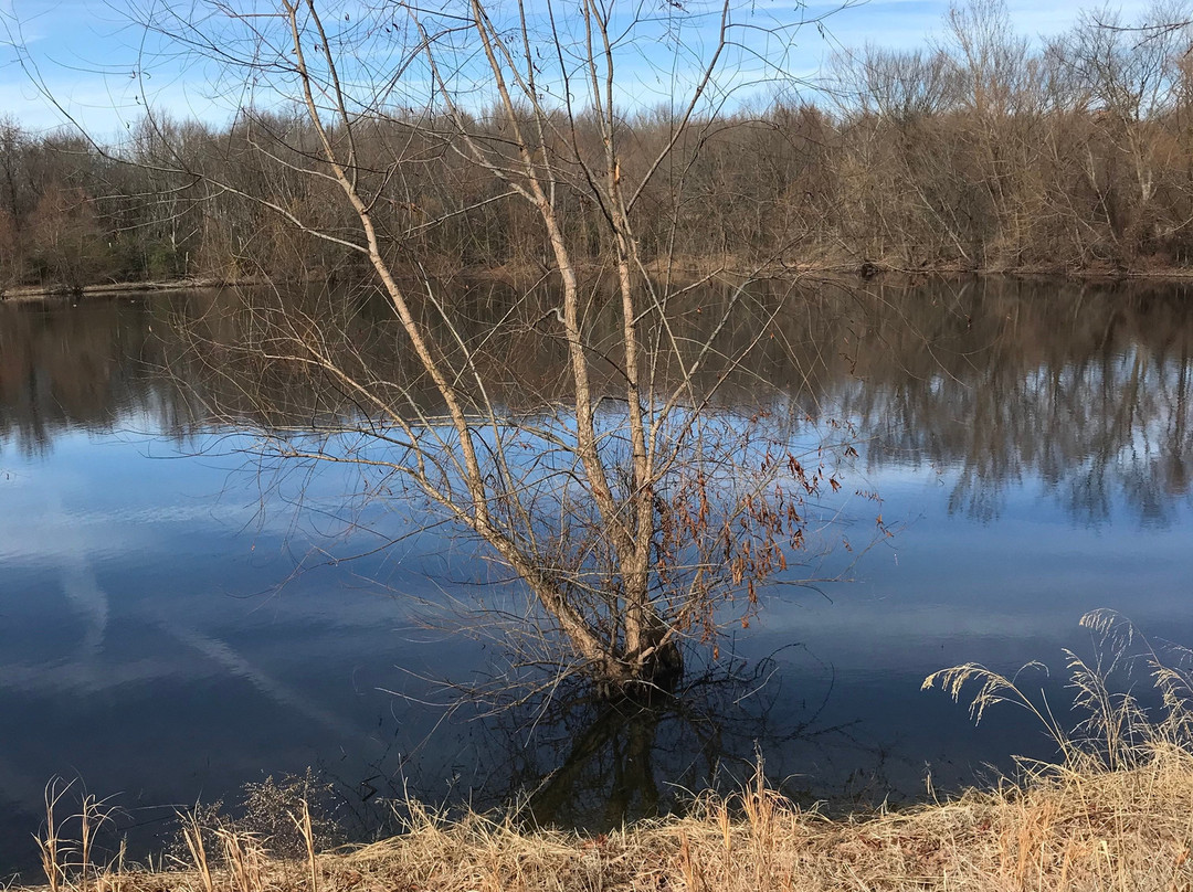 Shelby Farms Park-孟菲斯必去景点