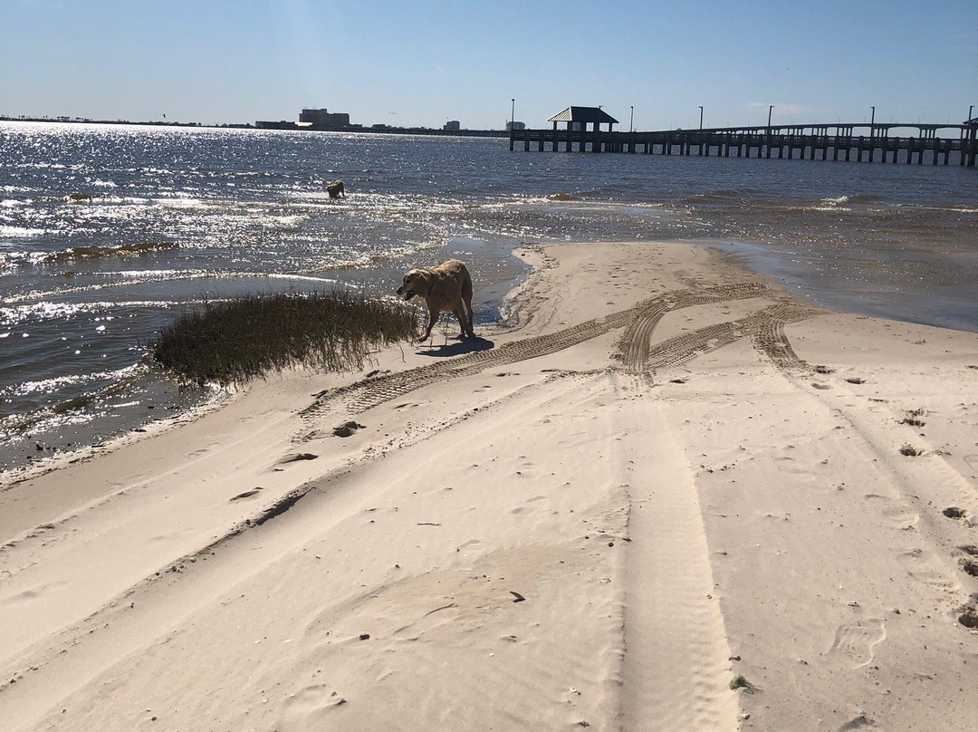 Front Beach景点图片