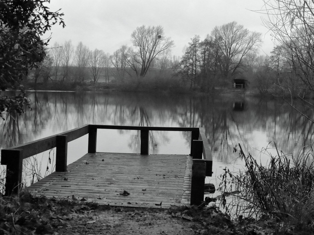 Barnwell Country Park-Oundle必去景点