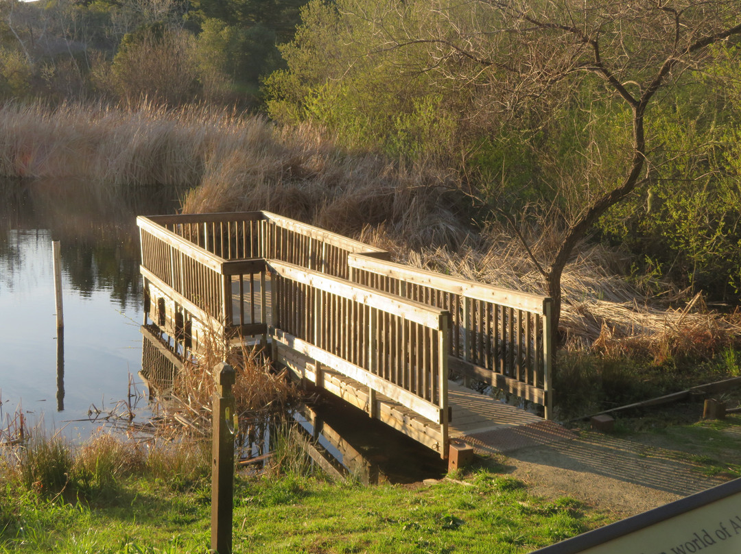 Skyline Ridge Preserve-La Honda必去景点